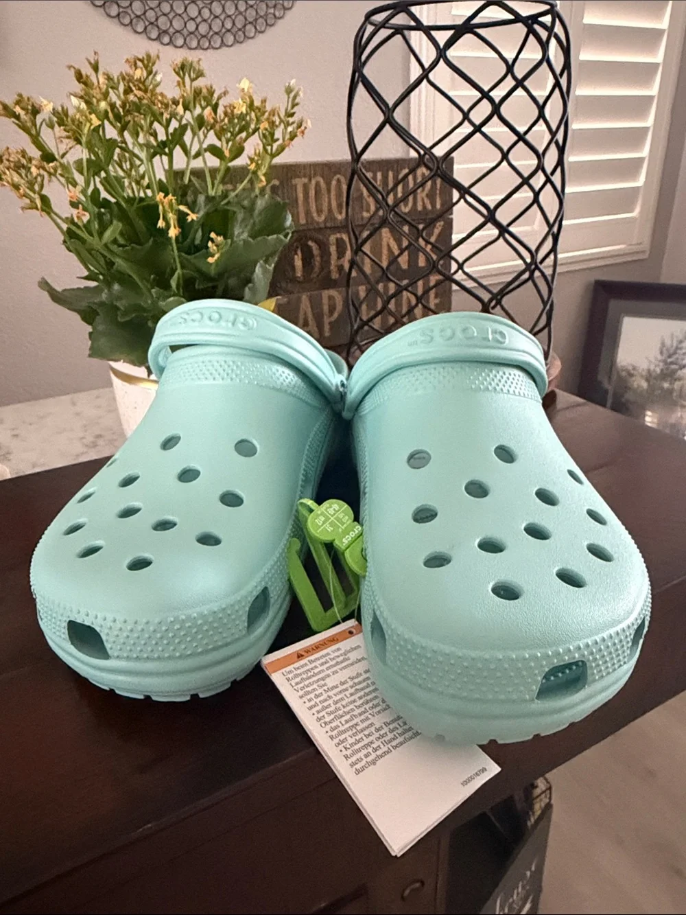 CROCS Men’s  Slip-On Clogs in Mint